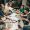 IMGL2373-Edit
